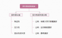 产后修复的最全方案！