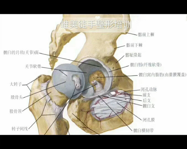 唯美徒手整形培训机构