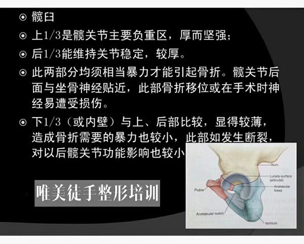 唯美徒手整形培训机构
